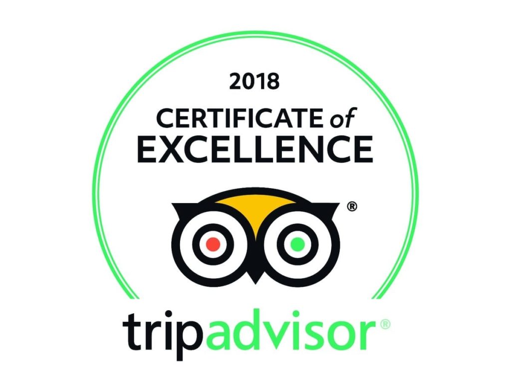 Award Winning Oahu Dolphin Tour