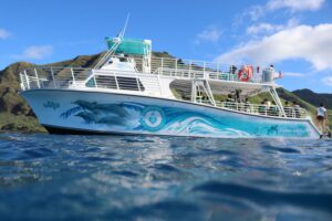 Read more about the article How To Avoid Sea-Sickness on an Oahu Dolphin Tour