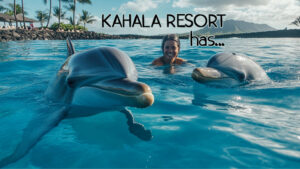 Read more about the article What hotel on Oahu has dolphins?