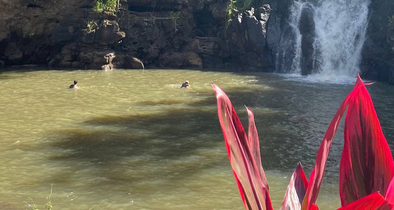 Swim
