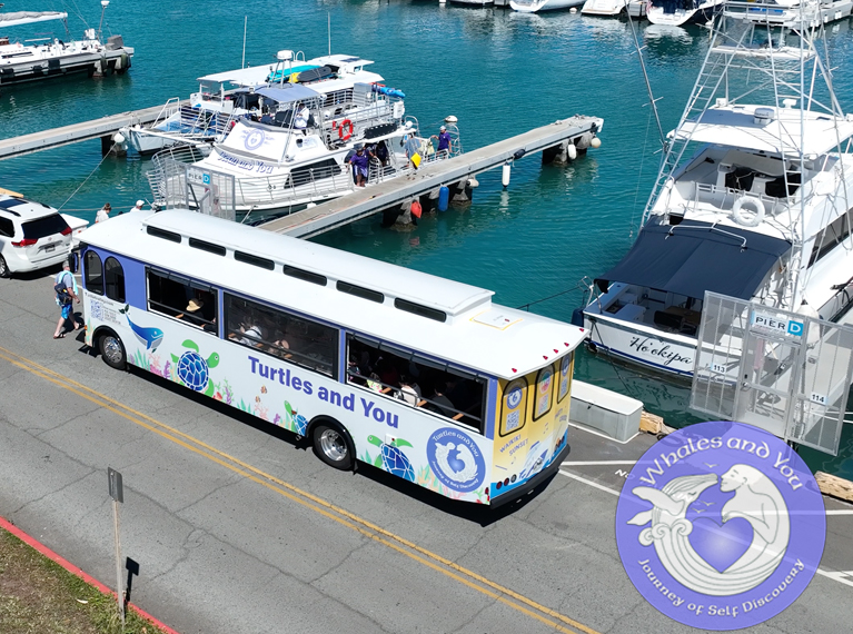 TurtleTrolley_WAY