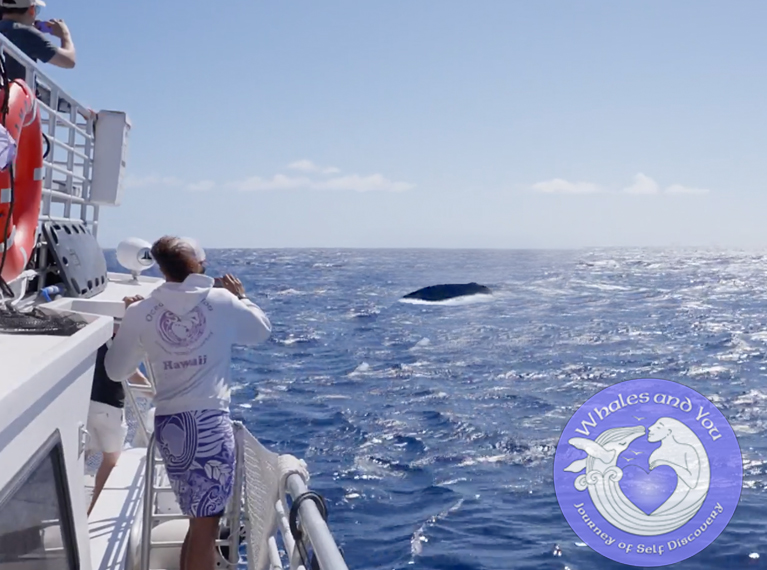 WhaleWatching_WAY