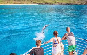 Read more about the article 【パッケージ予約がめちゃめくちゃお得！】ハワイのイルカウオッチングツアー30%オフ