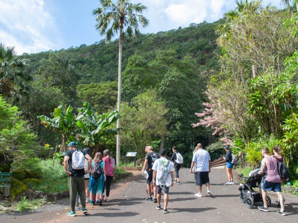 Waimea_20230406_sk0150