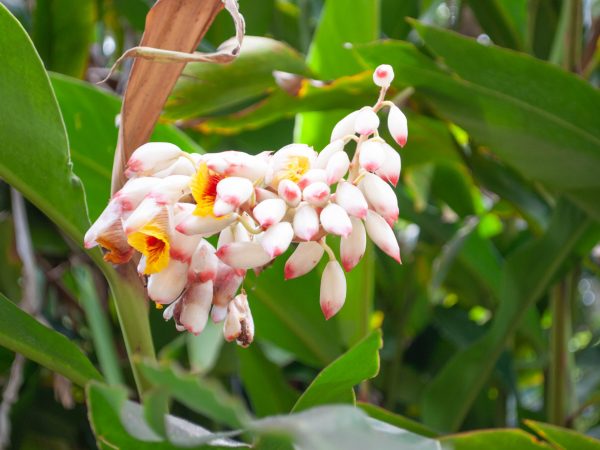 Waimea_20230406_sk0435